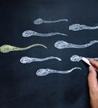 בדרך להריון: חשיבות איכות הזרע
